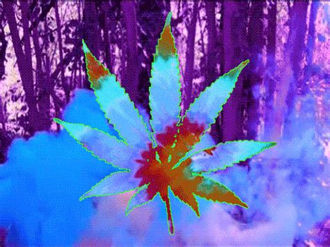 stoner gif|animated stoner meme.